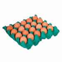 imagem de Ovos Granja Santana Vermelhos Pente Embalado C/20