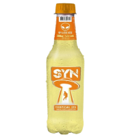 imagem de ICE SYN LEMON PET 300ML TROPICAL