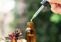 imagem de Própolis- Puro - Orgânico - 30 ml