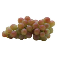 imagem de Uva Rubi Bdj