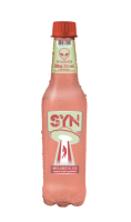 imagem de ICE SYN 300ML PET MELANCIA