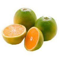 imagem de LARANJA PERA ORGANICA KG