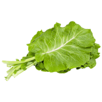 imagem de COUVE KAKAU VERDES UN