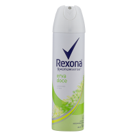 imagem de DESODORANTE AEROSOL REXONA ERVA DOCE 150ML