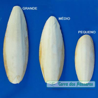 imagem de Osso Siba (pedaço)