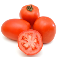 imagem de Tomate Italiano Kg